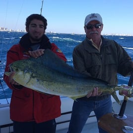 Mahi Mahi Fishing in Hollywood, Florida