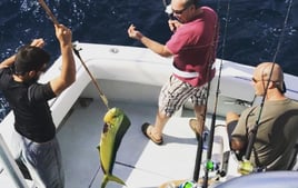 Mahi Mahi Fishing in Hollywood, Florida