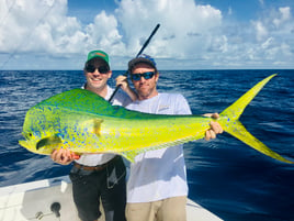 Mahi Mahi Fishing in Key Largo, Florida