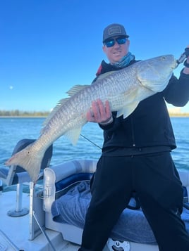 Redfish Fishing in Sarasota, Florida