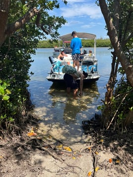 Fishing Wildlife and Sandbar Combo