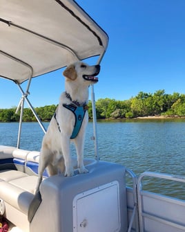 Fishing, Wildlife and Sandbar Combo!