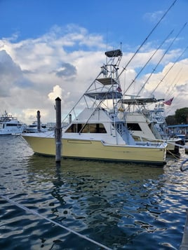 Sportfishing Miami