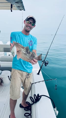 Red Grouper Fishing in Fort Myers Beach, Florida