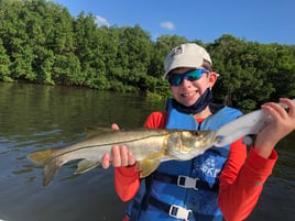 Snook Fishing in St. Petersburg, Florida