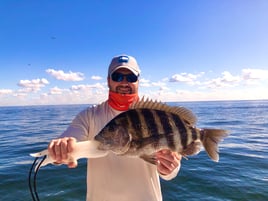 Tampa Bay Inshore Fun