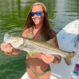 Snook Fishing in St. Petersburg, Florida