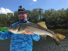 Snook Fishing in St. Petersburg, Florida