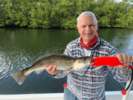 Tampa Bay Inshore Fun