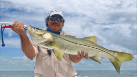 Snook Fishing in St. Petersburg, Florida