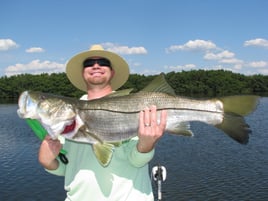 Snook Fishing in St. Petersburg, Florida