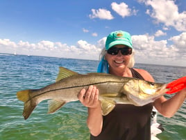 Snook Fishing in St. Petersburg, Florida