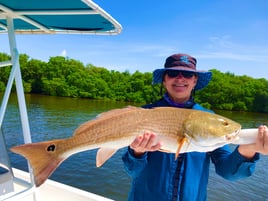 Redfish Fishing in St. Petersburg, Florida