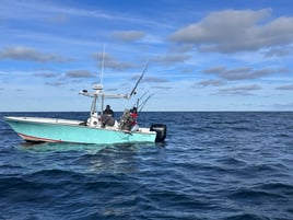 Full Day Light tackle Bluefin