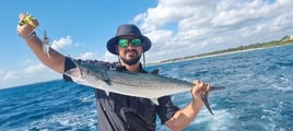 Spanish Mackerel Fishing in Puerto Aventuras, Mexico