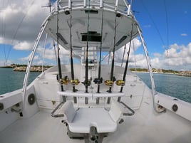 Puerto Aventuras Deep Sea Fishing