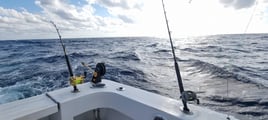 Puerto Aventuras Deep Sea Fishing