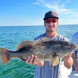 Gag Grouper Fishing in Holmes Beach, Florida