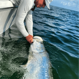 Tarpon Fishing in Sylvan Shores, Florida