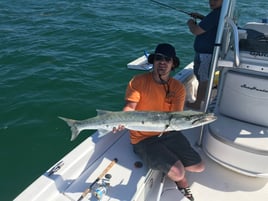 Barracuda Fishing in Coral Gables, Florida