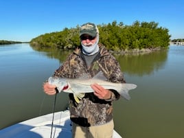 Snook Fishing in Layton, Florida