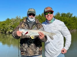 Snook Fishing in Layton, Florida