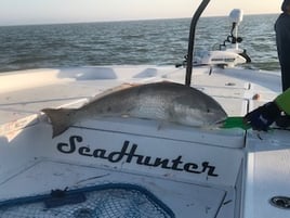 Redfish Fishing in Layton, Florida