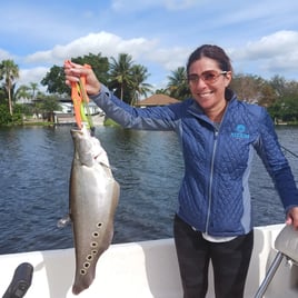 Clown Knifefish Fishing in Delray Beach, Florida