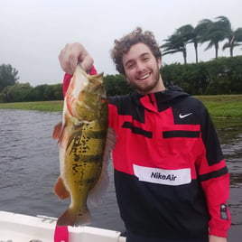 Peacock Bass Fishing in Delray Beach, Florida