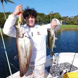 Clown Knifefish Fishing in Delray Beach, Florida