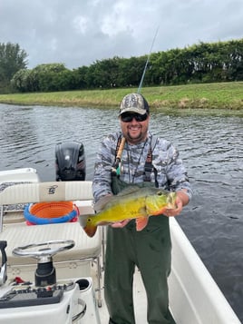 Peacock Bass Fishing in Delray Beach, Florida