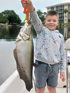 Clown Knifefish Fishing in Delray Beach, Florida