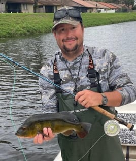 Peacock Bass Fishing in Delray Beach, Florida