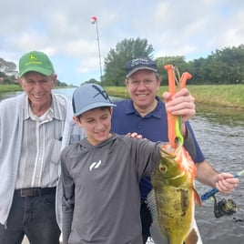 Peacock Bass Fishing in Delray Beach, Florida