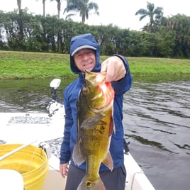 Peacock Bass Fishing in Delray Beach, Florida