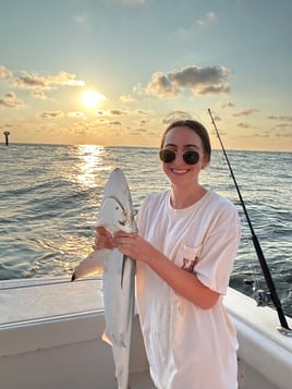 Blacktip Shark Fishing in Galveston, Texas