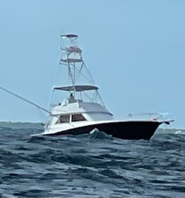 BEST! Sport fishing Trips in Islamorada, Whale Harbor