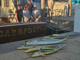 Mahi Mahi Fishing in Fort Lauderdale, Florida