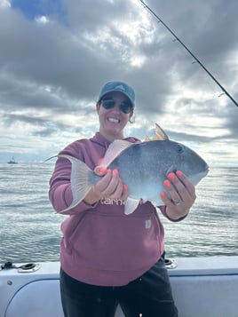 Triggerfish Fishing in Port Orange, Florida