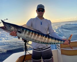 Wahoo Fishing in Hollywood, Florida