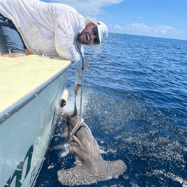 Bonnethead Shark Fishing in Hollywood, Florida