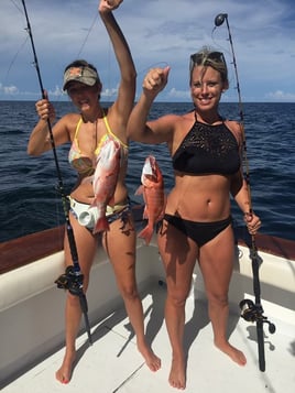 Red Snapper Fishing in Destin, Florida