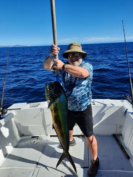 Mahi Mahi Fishing in San José del Cabo, Mexico