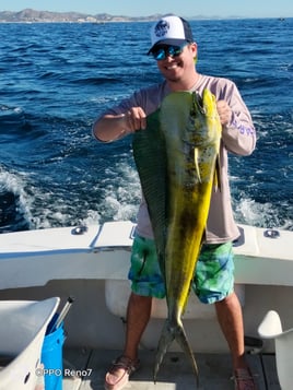 Mahi Mahi Fishing in San José del Cabo, Mexico