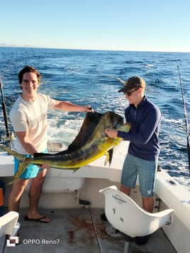 Mahi Mahi Fishing in San José del Cabo, Mexico