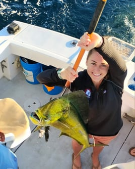 Mahi Mahi Fishing in San José del Cabo, Mexico