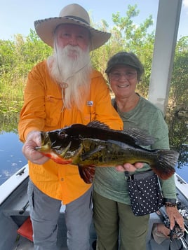 Peacock Bass Hunting in Fort Lauderdale, Florida