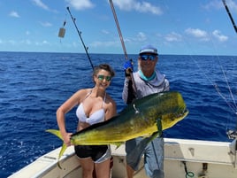 Mahi Mahi Fishing in Key West, Florida