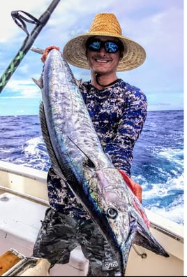 Barracuda Fishing in Key West, Florida