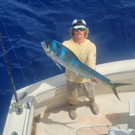 Mahi Mahi Fishing in Key West, Florida